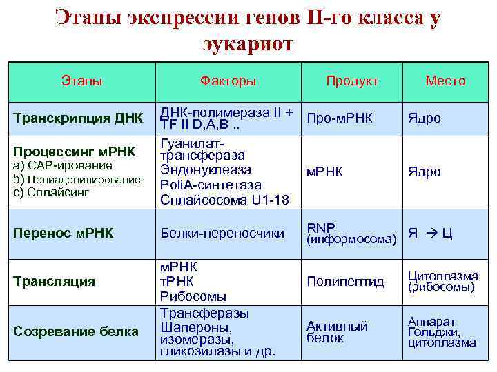 Этапы экспрессии генов II-го класса у эукариот Этапы Транскрипция ДНК Процессинг м. РНК a)