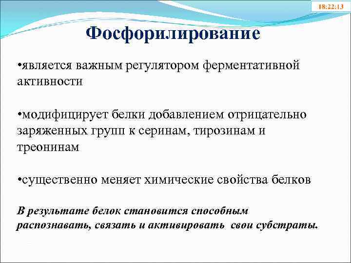 Фосфорилирование • является важным регулятором ферментативной активности • модифицирует белки добавлением отрицательно заряженных групп