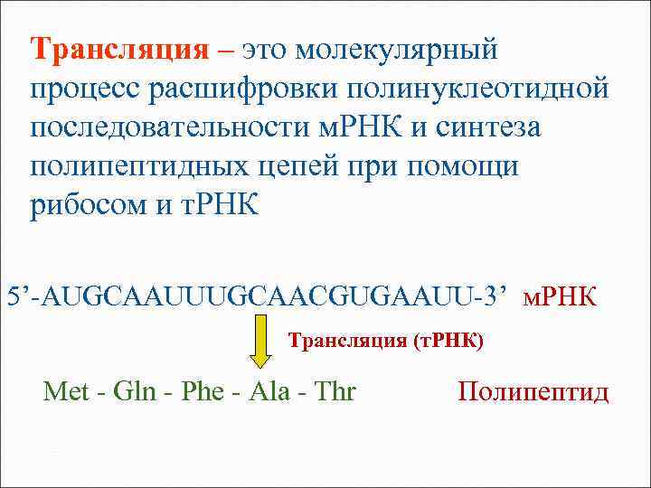 Трансляция – это молекулярный процесс расшифровки полинуклеотидной последовательности м. РНК и синтеза полипептидных цепей