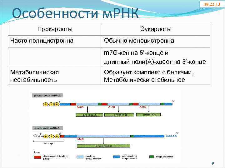 Особенности м