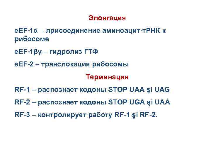 Элонгация e. EF-1α – лрисоединение аминоацит-т. РНК к рибосоме e. EF-1βγ – гидролиз ГТФ