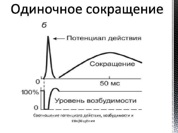 Уровни возбудимости