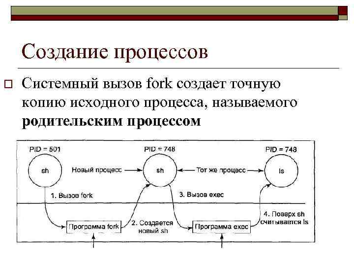 Создание процессов o Системный вызов fork создает точную копию исходного процесса, называемого родительским процессом