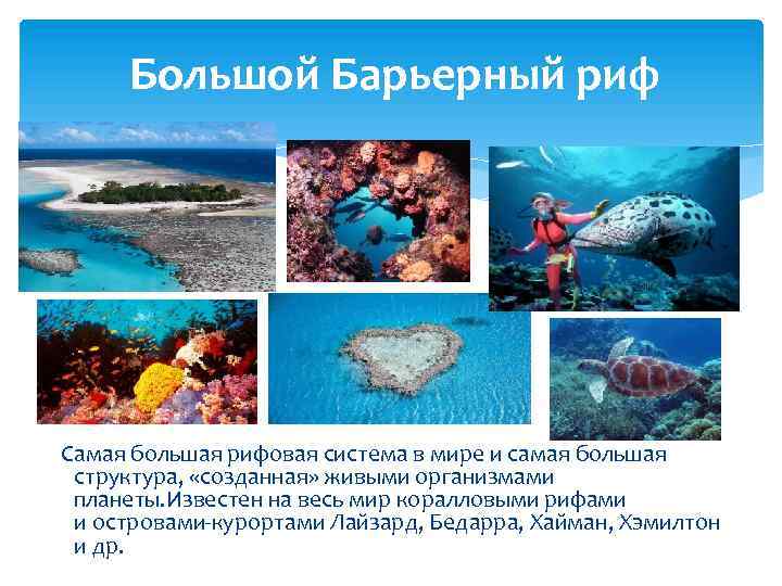 Большой Барьерный риф Самая большая рифовая система в мире и самая большая структура, «созданная»