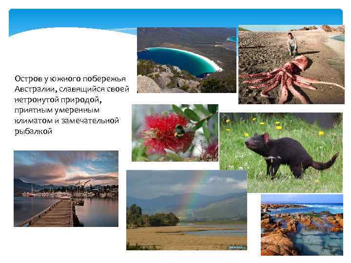  Тасмания Остров у южного побережья Австралии, славящийся своей нетронутой природой, приятным умеренным климатом