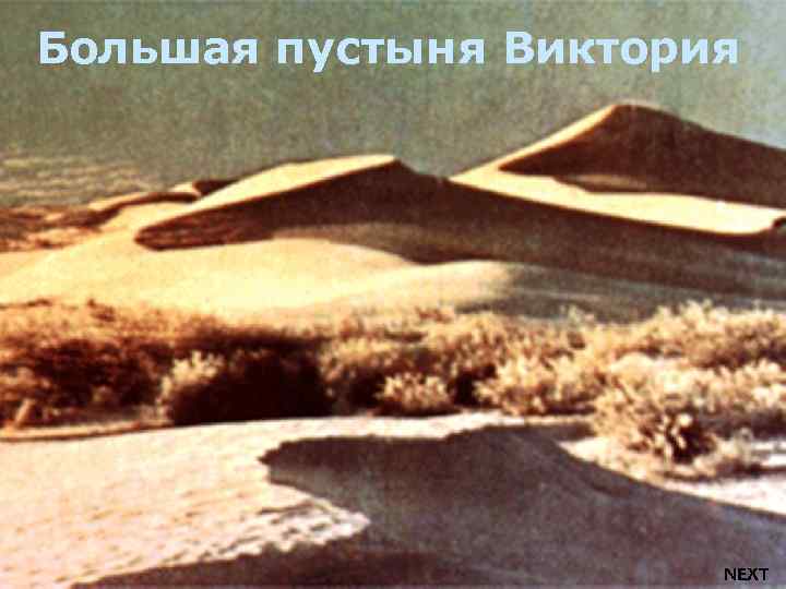 Большая пустыня Виктория NEXT 