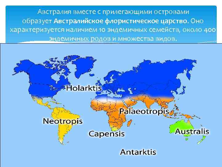 Австралийское царство презентация