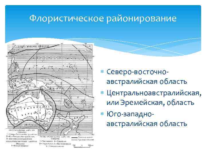 Флористическое районирование Северо-восточноавстралийская область Центральноавстралийская, или Эремейская, область Юго-западноавстралийская область 
