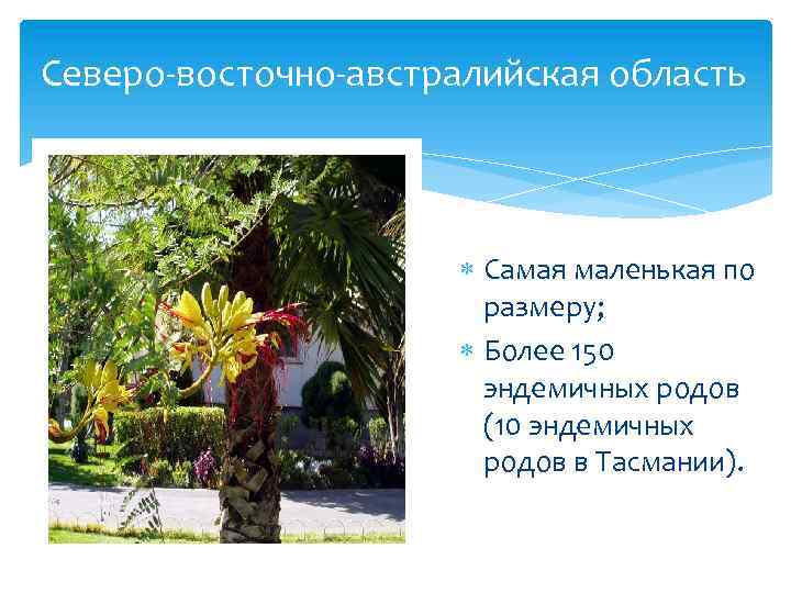 Северо-восточно-австралийская область Самая маленькая по размеру; Более 150 эндемичных родов (10 эндемичных родов в