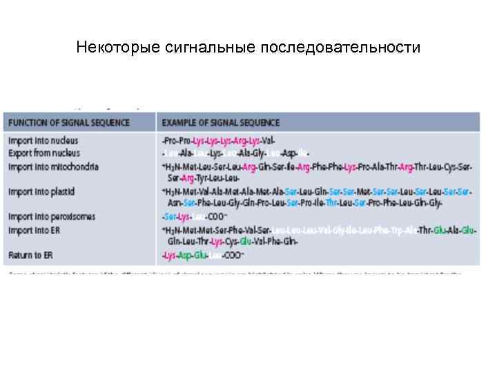 Некоторые сигнальные последовательности 