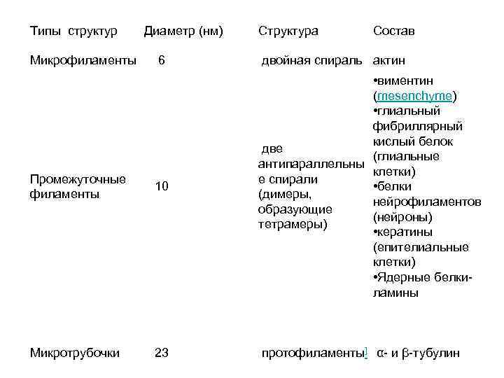 Типы структур Диаметр (нм) Структура Состав Микрофиламенты 6 двойная спираль актин Промежуточные филаменты 10