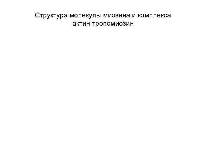 Структура молекулы миозина и комплекса актин-тропомиозин 