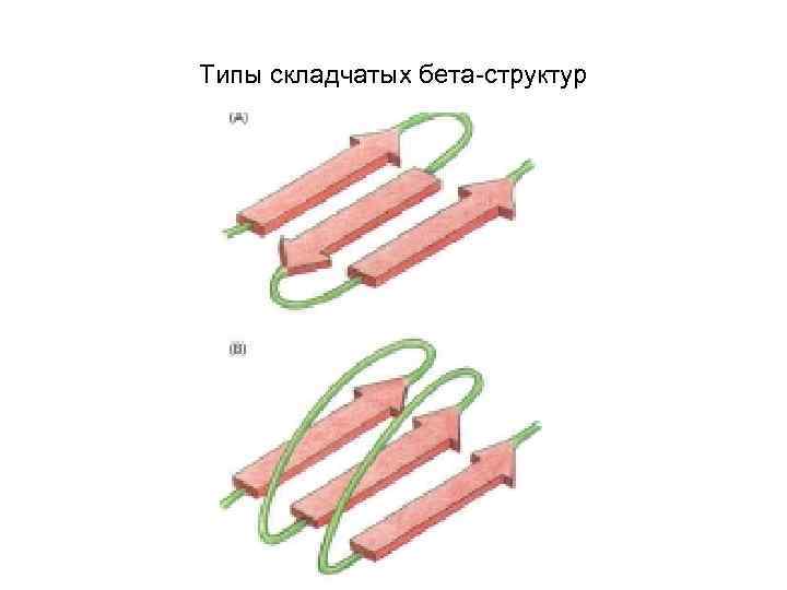 Типы складчатых бета-структур 