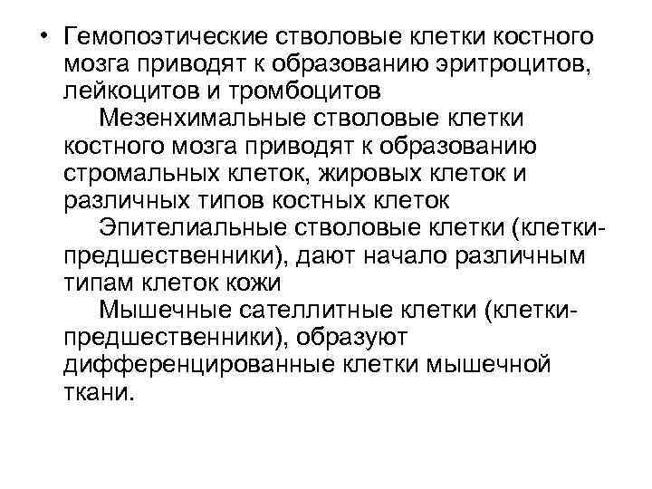  • Гемопоэтические стволовые клетки костного мозга приводят к образованию эритроцитов, лейкоцитов и тромбоцитов