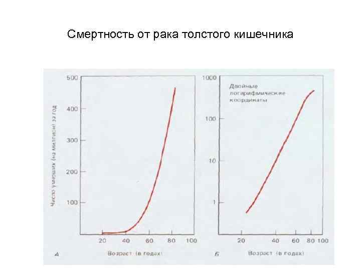 Смертность от рака толстого кишечника 