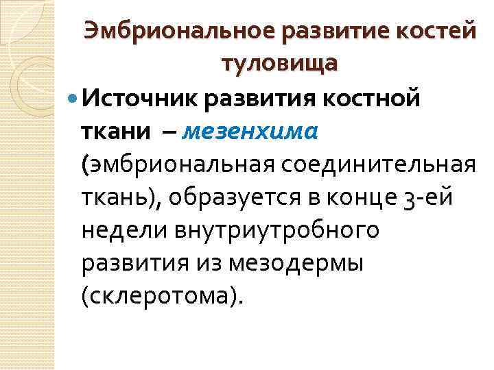 Эмбриональное развитие костей туловища Источник развития костной ткани – мезенхима (эмбриональная соединительная ткань), образуется