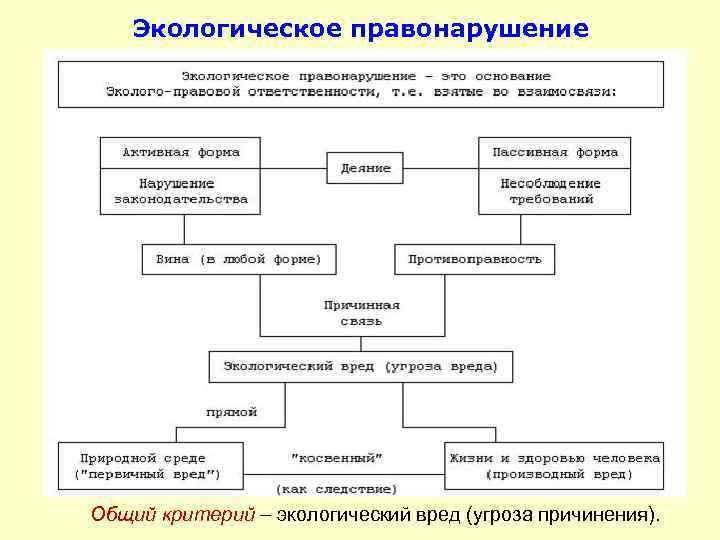 Экологическое правонарушение Общий критерий экологический вред (угроза причинения). 