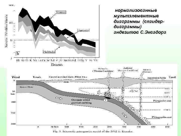  нормализованные мультэлементные диаграммы (спаидердиаграммы) андезитов С. Эквадора 