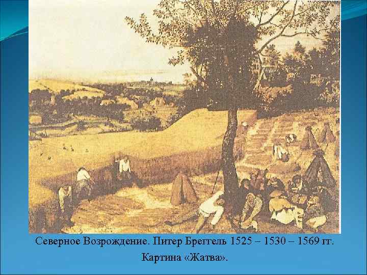 Северное Возрождение. Питер Бреггель 1525 – 1530 – 1569 гг. Картина «Жатва» . 