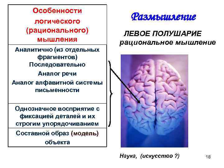 Особенности логического (рационального) мышления Аналитично (из отдельных фрагментов) Последовательно Аналог речи Аналог алфавитной системы