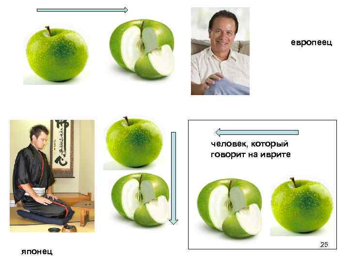 европеец человек, который говорит на иврите японец 25 