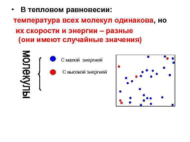 Как определить температуру теплового равновесия. Температура и тепловое равновесие. Тепловое равновесие температура одинакова. Примеры теплового равновесия. При тепловом балансе температура одинакова.