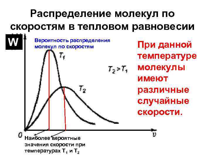 Распределение молекул по скоростям в тепловом равновесии W Вероятность распределения молекул по скоростям Наиболее