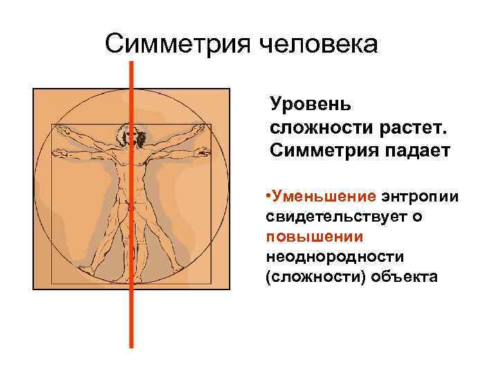 Симметрия человека Уровень сложности растет. Симметрия падает • Уменьшение энтропии свидетельствует о повышении неоднородности