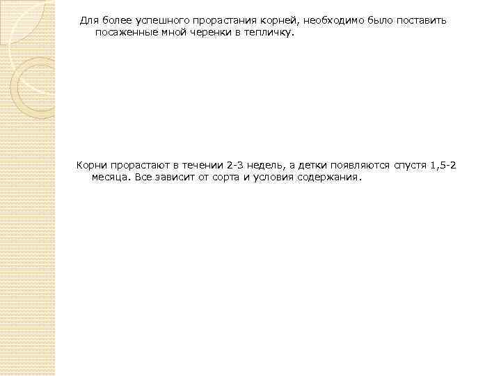 Для более успешного прорастания корней, необходимо было поставить посаженные мной черенки в тепличку. Корни