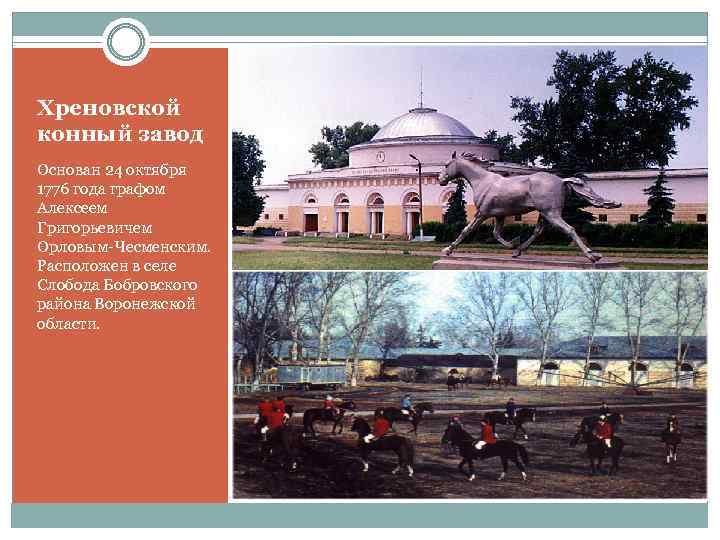 Хреновской конный завод Основан 24 октября 1776 года графом Алексеем Григорьевичем Орловым-Чесменским. Расположен в
