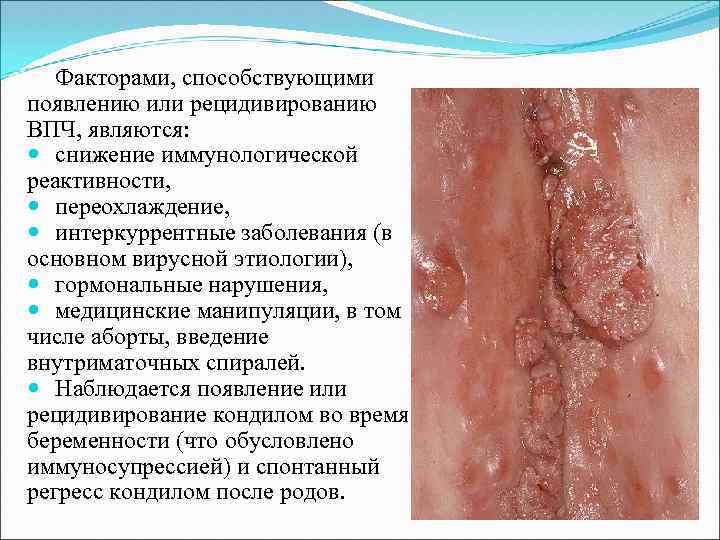Факторами, способствующими появлению или рецидивированию ВПЧ, являются: снижение иммунологической реактивности, переохлаждение, интеркуррентные заболевания (в