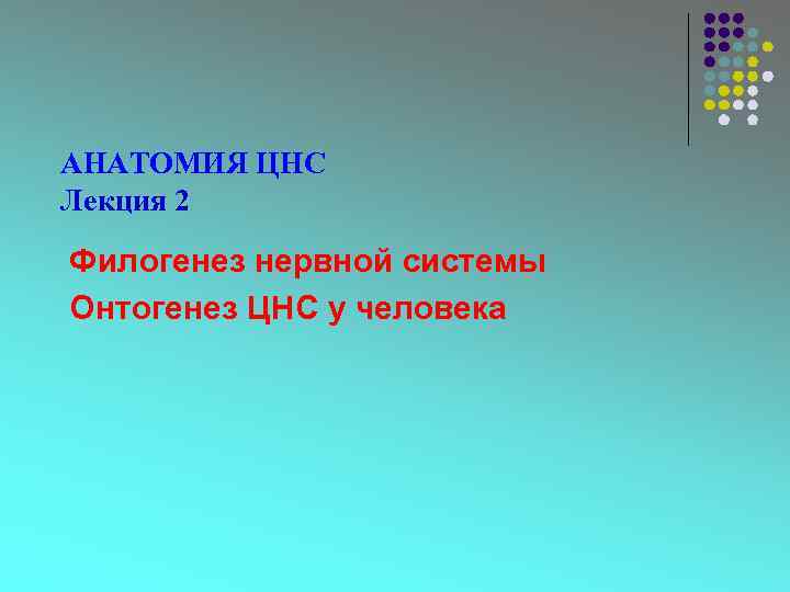 АНАТОМИЯ ЦНС Лекция 2 Филогенез нервной системы Онтогенез ЦНС у человека 