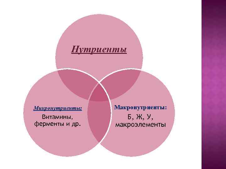 Нутриенты Микронутриенты: Макронутриенты: Витамины, ферменты и др. Б, Ж, У, макроэлементы 