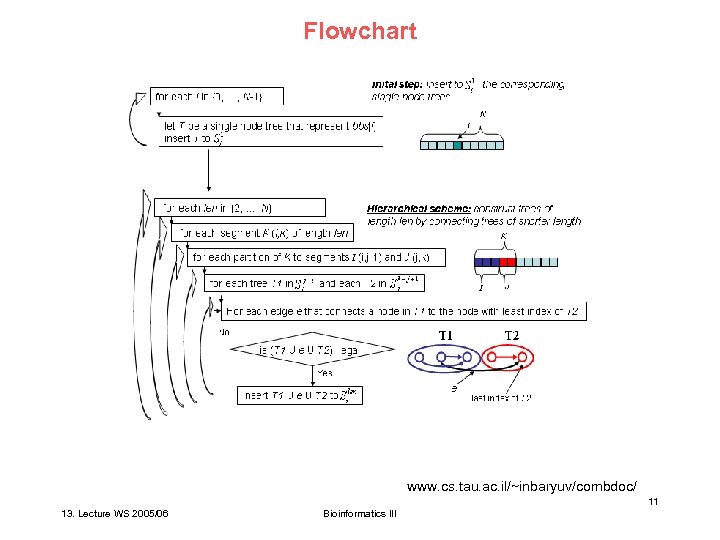 Flowchart www. cs. tau. ac. il/~inbaryuv/combdoc/ 11 13. Lecture WS 2005/06 Bioinformatics III 