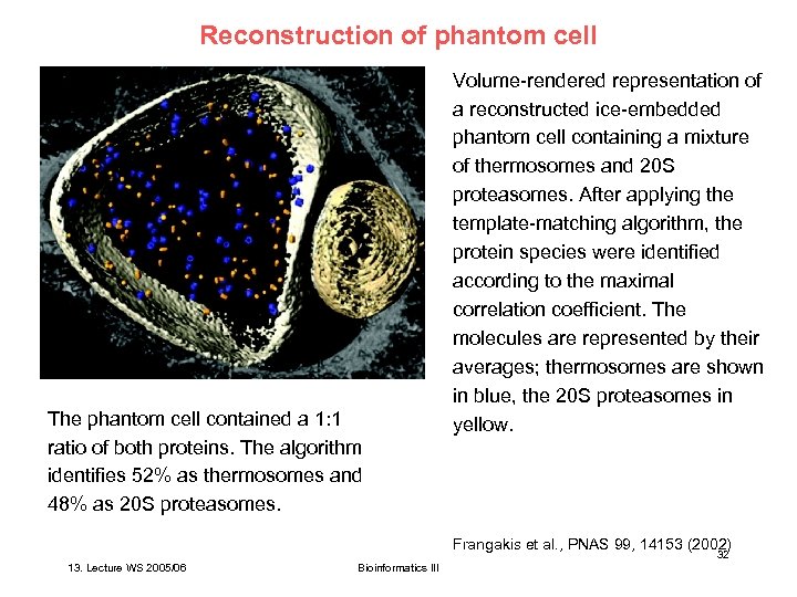 Reconstruction of phantom cell The phantom cell contained a 1: 1 ratio of both