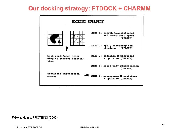 Our docking strategy: FTDOCK + CHARMM Flöck & Helms, PROTEINS (2002) 4 13. Lecture