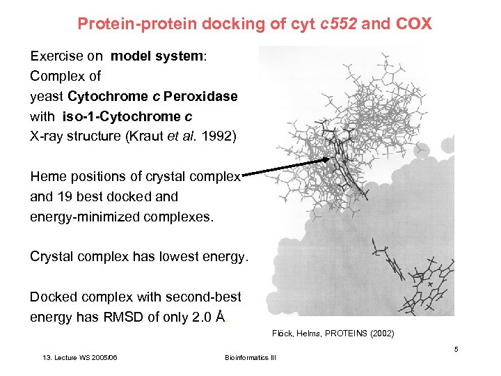 Protein-protein docking of cyt c 552 and COX Exercise on model system: Complex of