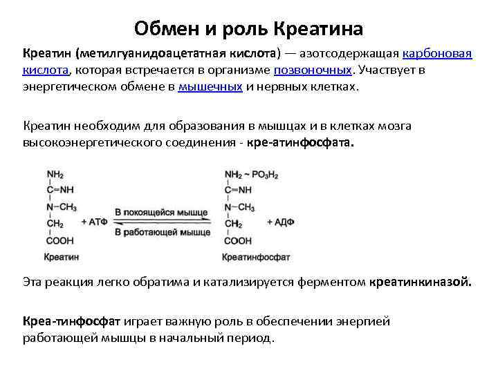 Обмен и роль Креатина Креатин (метилгуанидоацетатная кислота) — азотсодержащая карбоновая кислота, которая встречается в