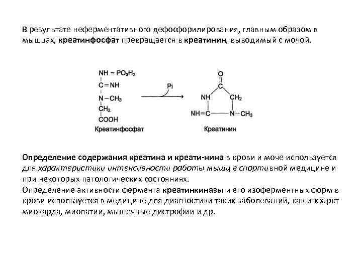 В результате неферментативного дефосфорилирования, главным образом в мышцах, креатинфосфат превращается в креатинин, выводимый с