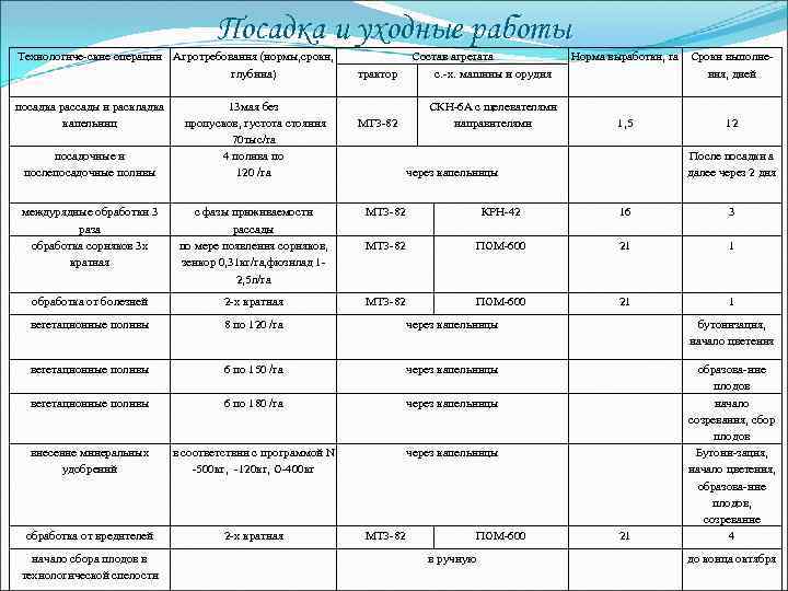 Посадка и уходные работы Технологиче-ские операции Агротребования (нормы, сроки, глубина) трактор посадка рассады и