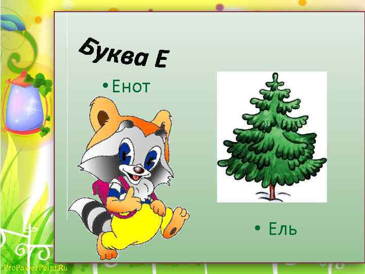 Схема слова енот