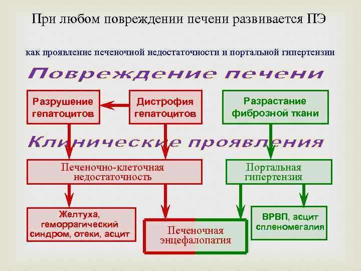 При любом повреждении печени развивается ПЭ как проявление печеночной недостаточности и портальной гипертензии Разрушение