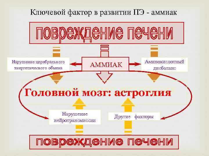 Ключевой фактор в развитии ПЭ - аммиак Нарушение церебрального энергетического обмена АММИАК Аминокислотный дисбаланс