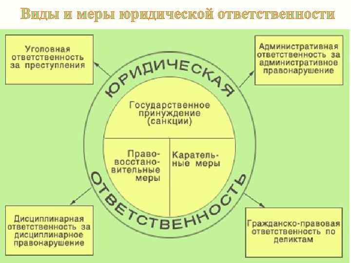 Виды и меры юридической ответственности 