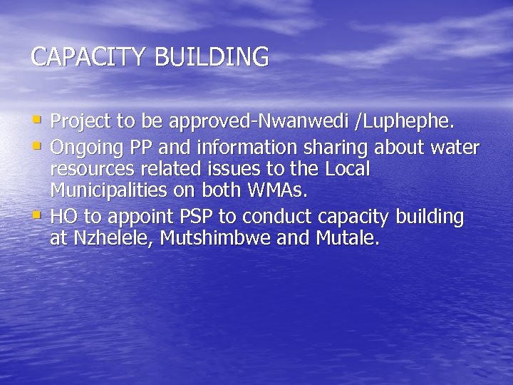 CAPACITY BUILDING § Project to be approved-Nwanwedi /Luphephe. § Ongoing PP and information sharing