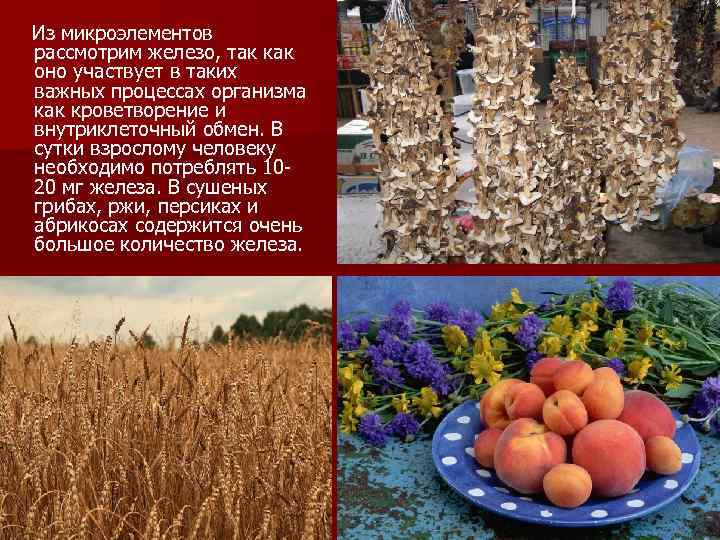 Из микроэлементов рассмотрим железо, так как оно участвует в таких важных процессах организма как