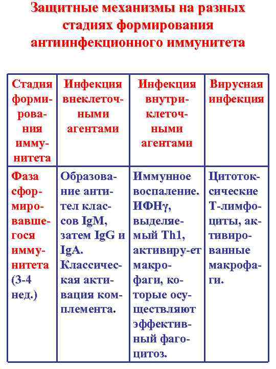 Защитные механизмы на разных стадиях формирования антиинфекционного иммунитета Стадия формирования иммунитета Фаза сформировавшегося иммунитета