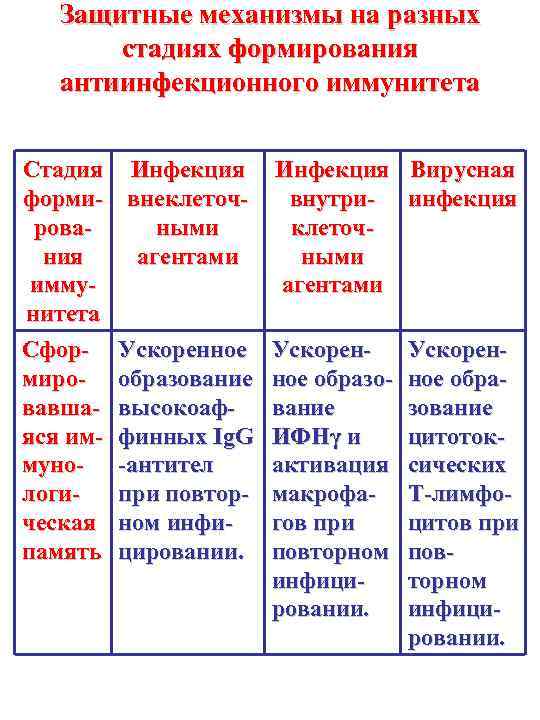 Защитные механизмы на разных стадиях формирования антиинфекционного иммунитета Стадия формирования иммунитета Сформировавшаяся иммунологическая память