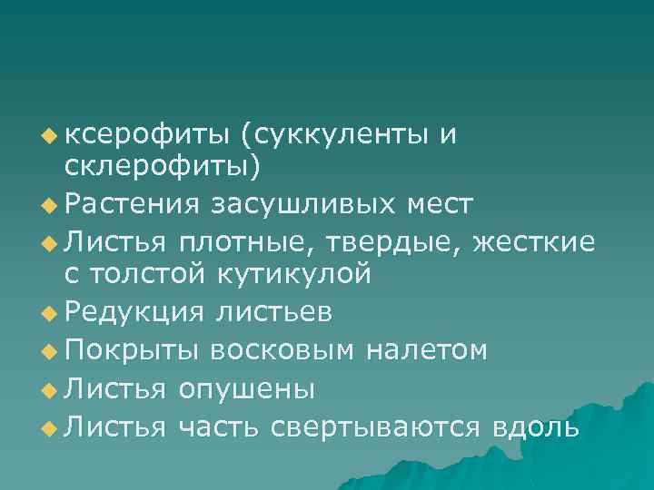 u ксерофиты (суккуленты и склерофиты) u Растения засушливых мест u Листья плотные, твердые, жесткие