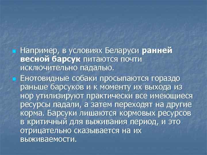 n n Например, в условиях Беларуси ранней весной барсук питаются почти исключительно падалью. Енотовидные